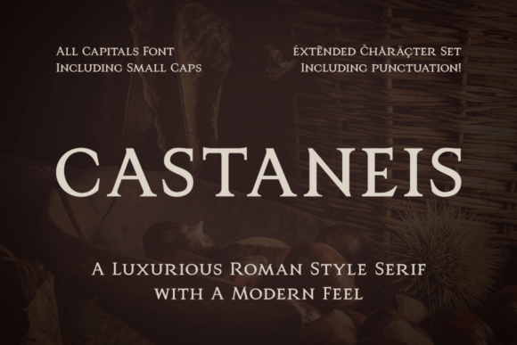 Castaneis: A Roman-Inspired Serif Font with a Modern Twist