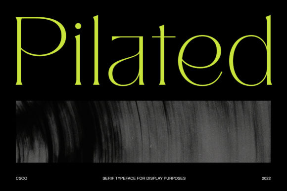Pilated: The Modern Serif for Standout Design